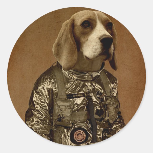 Beagle Runder Aufkleber (Vorderseite)