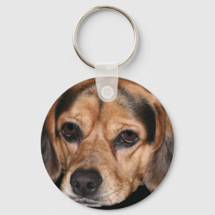 Beagle Schlüsselanhänger