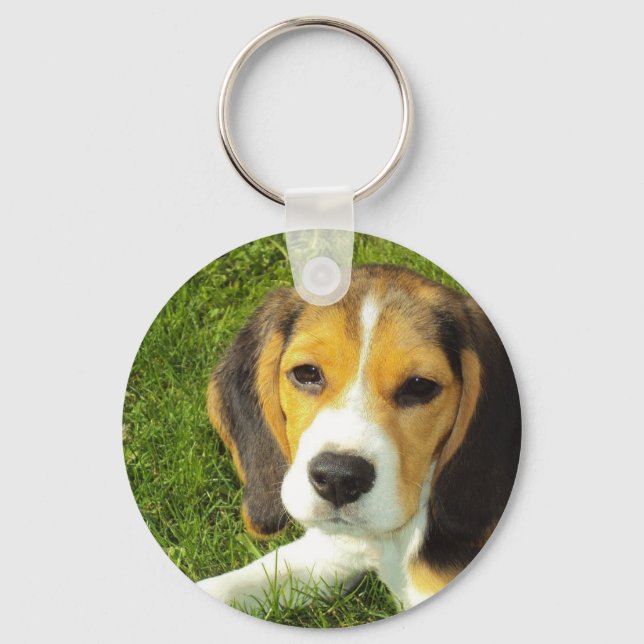 Beagle Schlüsselanhänger (Vorderseite)