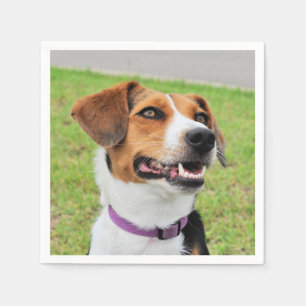 Beagle Serviette