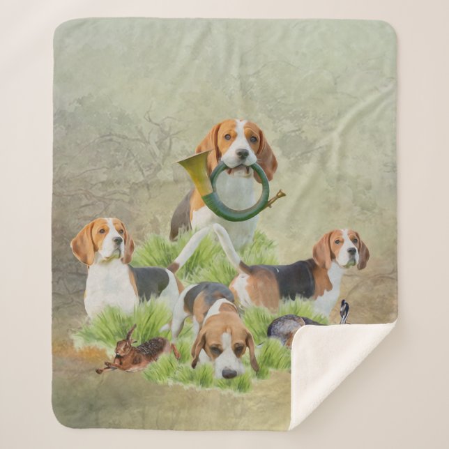 Beagle Sherpadecke (Vorderseite)