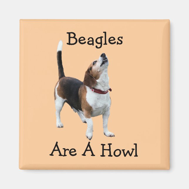 Beagle sind ein Heuschnupfen Magnet (Vorne)