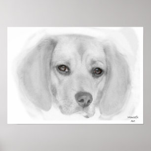 Beagle Sketch-Poster Poster