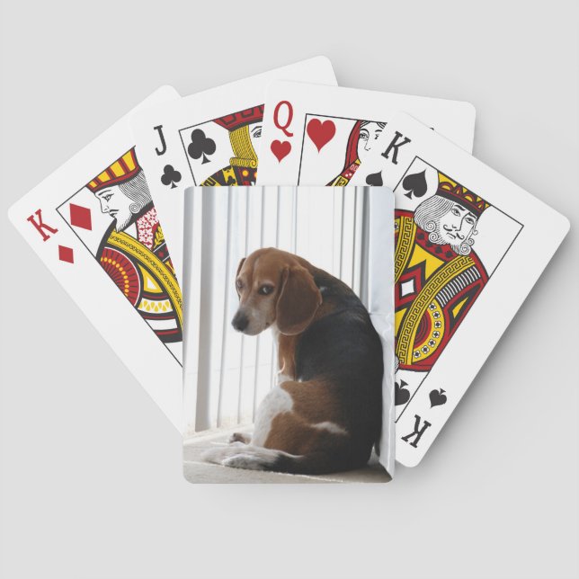 Beagle Spielkarten (Rückseite)