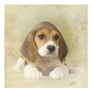Beagle Tapestyle Imitate Canvas Print Acrylic Prin Fotodruck