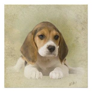 Beagle Tapestyle Imitate Canvas Print Acrylic Prin Poster