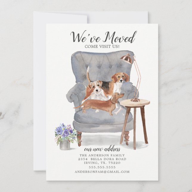 Beagle Terrier & Dackel | Ankündigung der Beförder (Vorderseite)