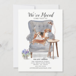 Beagle Terrier & Dackel   Ankündigung der Beförder