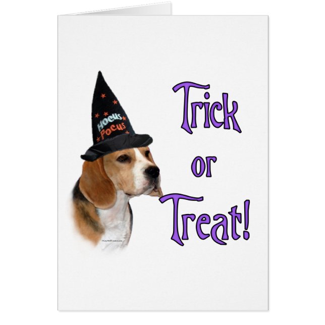 Beagle Trick (Vorne)