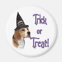 Beagle Trick