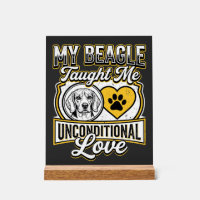 Beagle Unbedingte Liebe Hundebesitzer