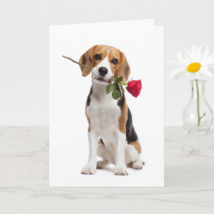 Beagle Valentine – Treue Liebe mit einer Rose Karte