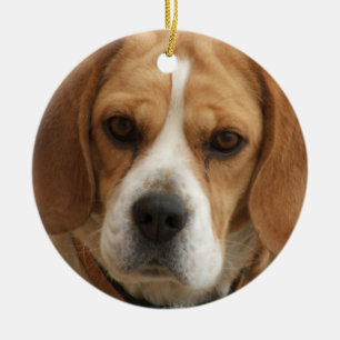 Beagle-Verzierung Keramik Ornament