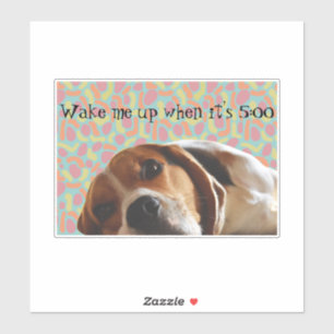 Beagle Weckte mich auf Aufkleber