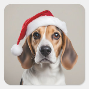 Beagle Weihnachten Quadratischer Aufkleber