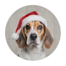 Beagle Weihnachten