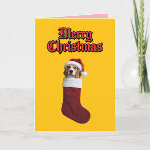Beagle Weihnachts-Strumpf Feiertagskarte