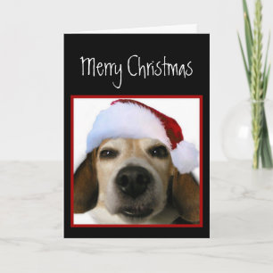 Beagle Weihnachtskarte Feiertagskarte