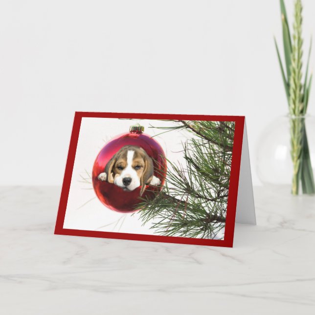 Beagle Weihnachtskartenball Feiertagskarte (Vorderseite)