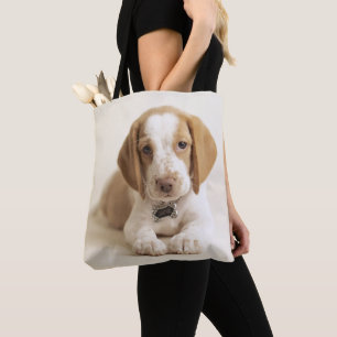 Beagle-Welpe