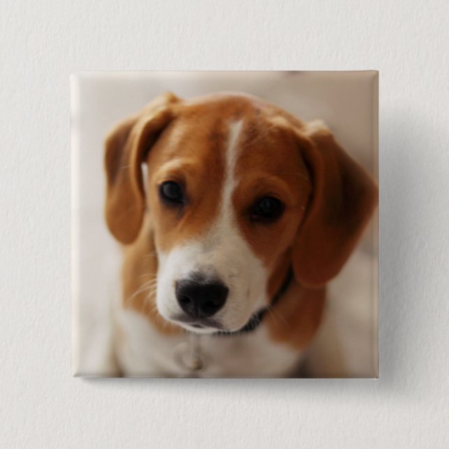 Beagle-Welpe 2 Button (Vorderseite)