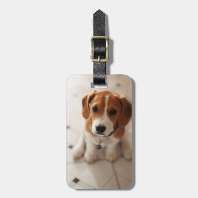 Beagle-Welpe 2 Gepäckanhänger (Vorderseite vertikal)