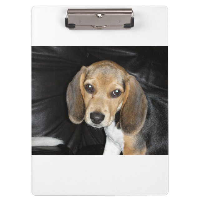 Beagle Welpe 2 Klemmbrett (Vorderseite)