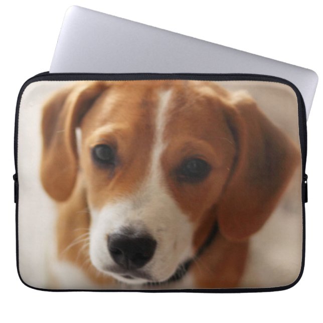 Beagle-Welpe 2 Laptopschutzhülle (Vorderseite)