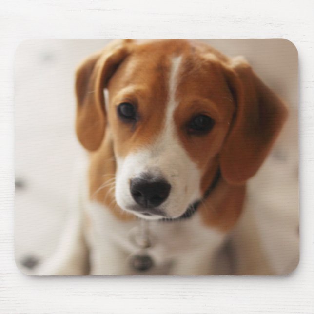 Beagle-Welpe 2 Mousepad (Vorne)