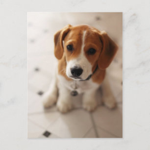 Beagle-Welpe 2 Postkarte