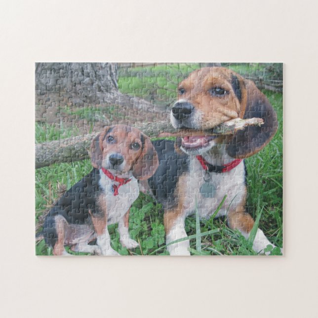 Beagle-Welpe, der das Kauen auf einem Stock Puzzle (Horizontal)