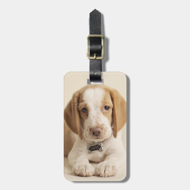 Beagle-Welpe Gepäckanhänger (Vorderseite vertikal)