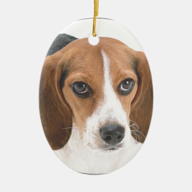 "Beagle-Welpe " Keramik Ornament (Vorne)