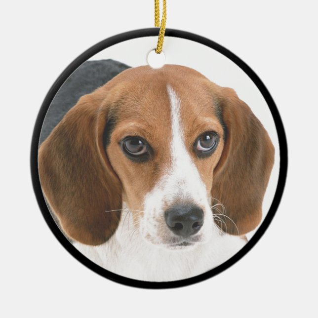 Beagle-Welpe Keramikornament (Vorne)