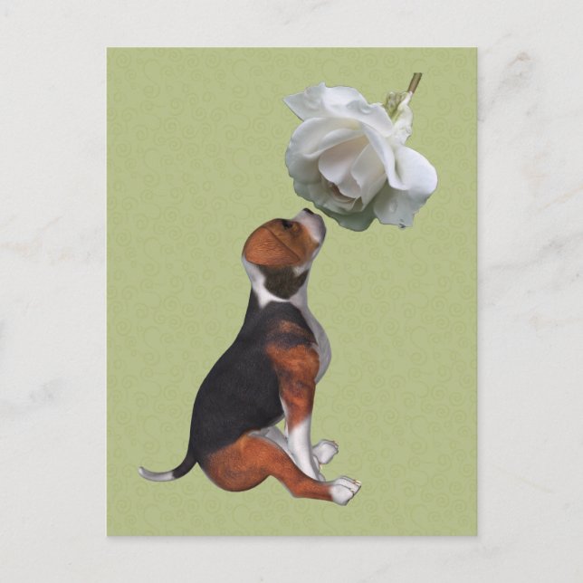 Beagle Welpe Niedliche Rose Postkarte (Vorderseite)