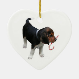 Beagle Welpe Ornament