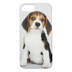 Beagle Welpe, unglaublich niedlich Case-Mate iPhone Hülle