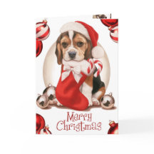 Beagle Welpe Weihnachten