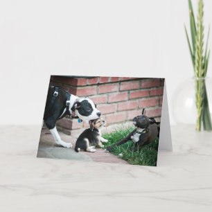 Beagle Welpen Geschmack Yummy Karte