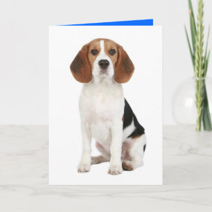 Beagle-Welpen-Hund-Hallo-Ich-denk-an-Dich-Karte Karte