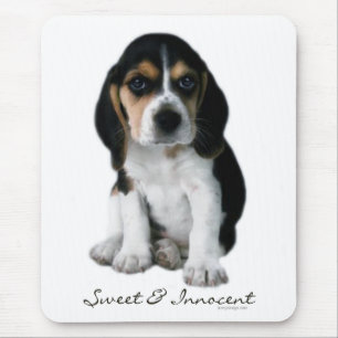 Beagle-Welpen-Hund Mousepad