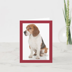Beagle-Welpen-Hund roter leerer Notizkarte Karte