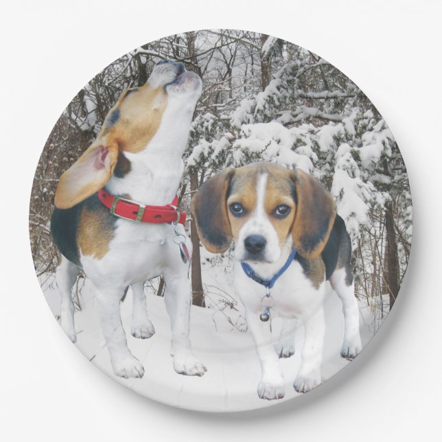 Beagle Welpen im Schneewald Pappteller (Vorderseite)