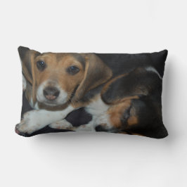 Beagle Welpen Kissen
