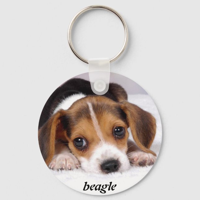 Beagle-Welpen-Tapete-11.jpg, Beagle Schlüsselanhänger (Vorderseite)