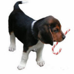 Beagle-Welpen-Verzierung Fotoskulptur Ornament<br><div class="desc">Diese Beagle-Welpen-Verzierung macht ein großes kleines Weihnachtsgeschenk oder -kleines Geschenk.</div>