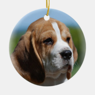 Beagle-Welpen-Verzierung Keramik Ornament