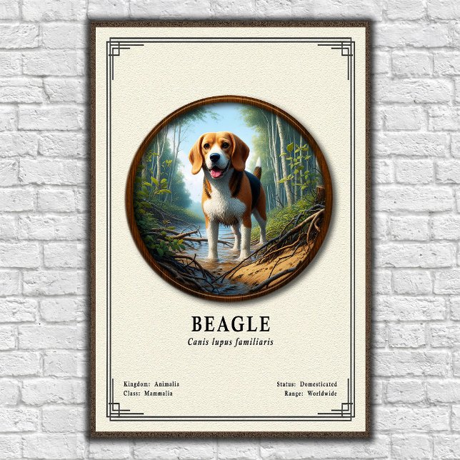 Beagle-Zoologie-Serie Poster (Von Creator hochgeladen)