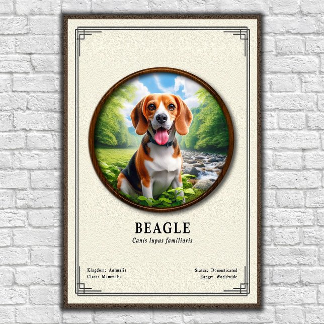 Beagle-Zoologie-Serie Poster (Von Creator hochgeladen)