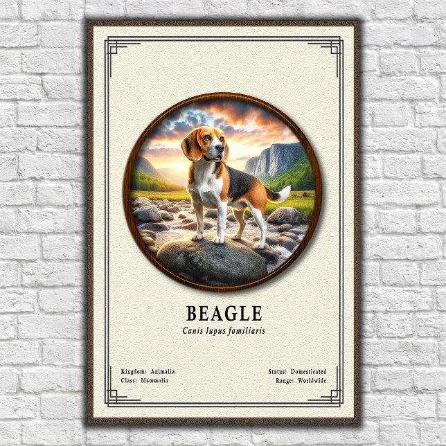 Beagle Zoologie Serie Poster (Von Creator hochgeladen)